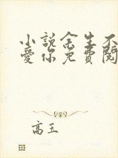 小说余生不过我爱你免费阅读