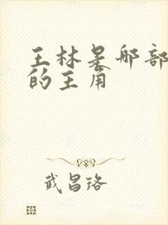 王林是哪部小说的主角