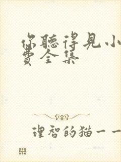 你听得见小说免费全集