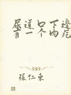 尿道口下边旁边有一个肉疙瘩