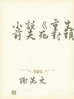 小说《重生嫁给前夫死对头》