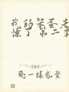 我的笨蛋老婆失忆了 第二季