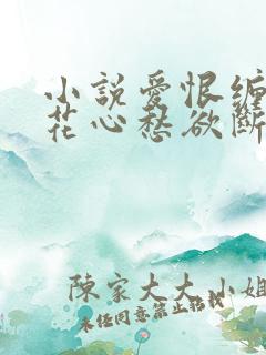 小说爱恨缠绵,花心愁欲断在线阅读
