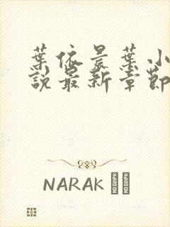 叶依晨叶小北小说最新章节免费阅读