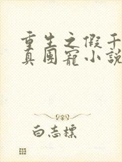 重生之假千金是真团宠小说免费