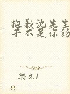 抱歉沈先生,孩子不是你的免费观看短剧