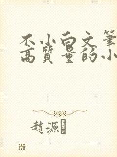 不小白文笔好的高质量的小说