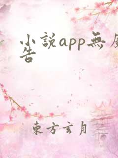 小说app无广告