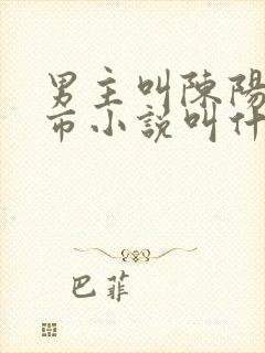 男主叫陈阳的都市小说叫什么