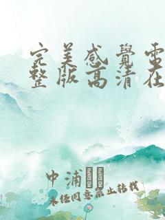 完美感觉电影完整版高清在线观看