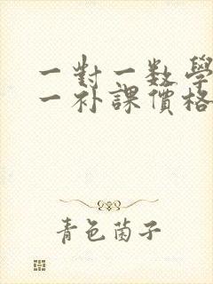 一对一数学一对一补课价格