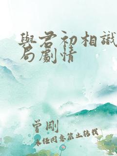 与君初相识大结局剧情