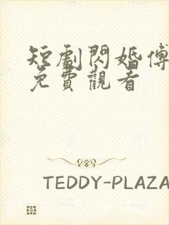 短剧闪婚傅先生免费观看