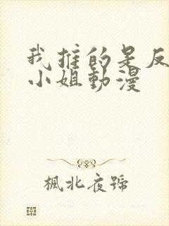 我推的是反派大小姐动漫