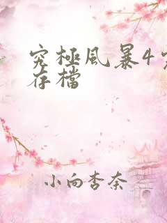 究极风暴4完美存档