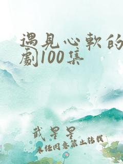 遇见心软的神短剧100集