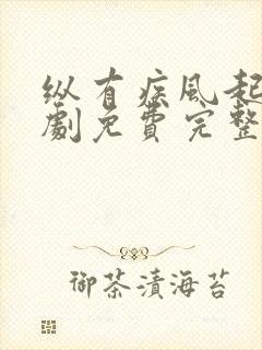 纵有疾风起电视剧免费完整版观看