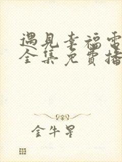 遇见幸福电视剧全集免费播放