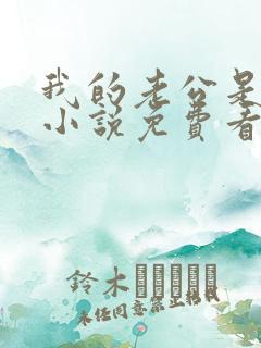 我的老公是冥王小说免费看