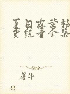 夏日露营动漫免费观看全集