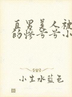 直男美人被欺负的惨兮兮小说免费阅读