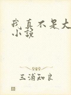 我真不是大反派小说