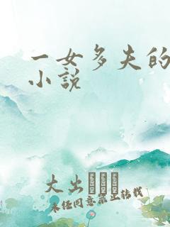 一女多夫的言情小说