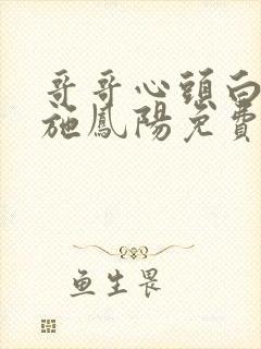 哥哥心头白月光施凤阳免费阅读全文