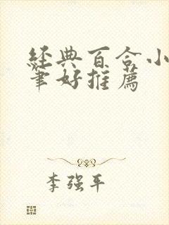 经典百合小说文笔好推荐