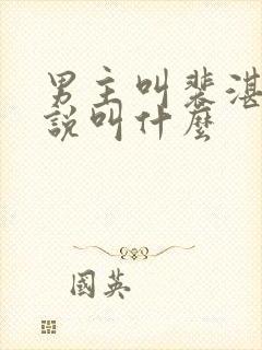 男主叫裴湛的小说叫什么