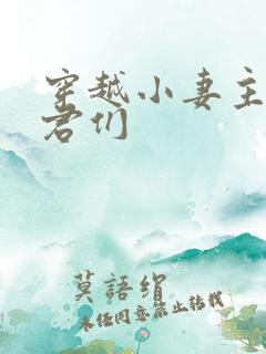 穿越小妻主的夫君们