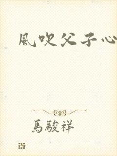 风吹父子心短剧