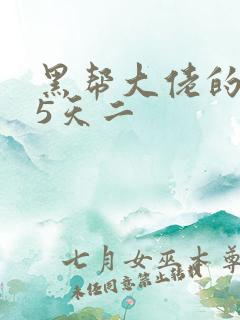 黑帮大佬的365天二