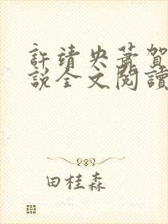 许靖央萧贺夜小说全文阅读最新章节