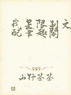 我是限制文的女配笔趣阁