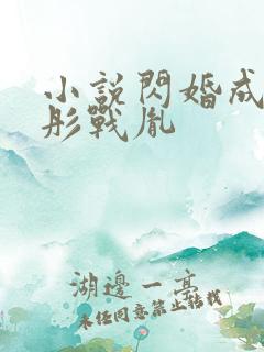 小说闪婚成宠海彤战胤