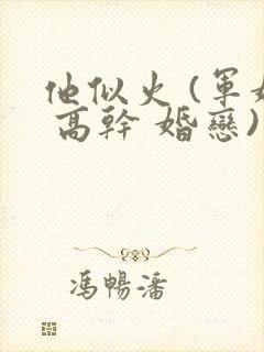 他似火 (军婚 高干 婚恋)