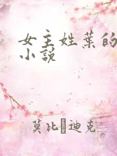 女主姓叶的穿越小说