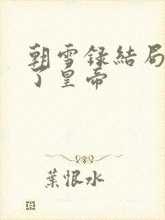 朝雪录结局谁当了皇帝