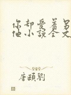 你却爱着另一个他小说全文免费阅读