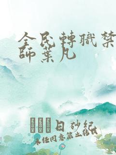 全民转职禁咒法师叶凡