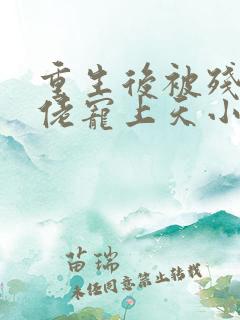 重生后被残疾大佬宠上天小说读