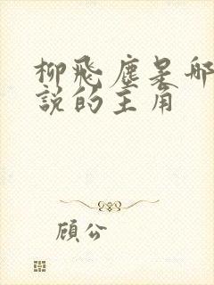 柳飞尘是哪部小说的主角