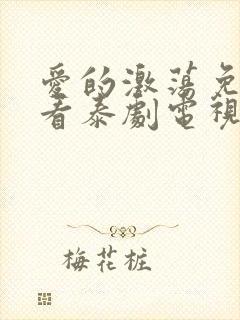 爱的激荡免费观看泰剧电视剧