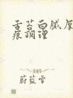 舌苔白腻厚有齿痕调理