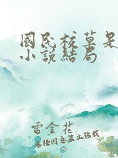 国民校草是女生小说结局