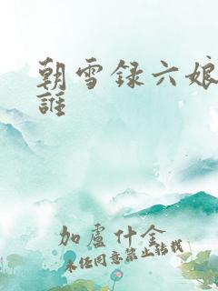 朝雪录六娘子是谁