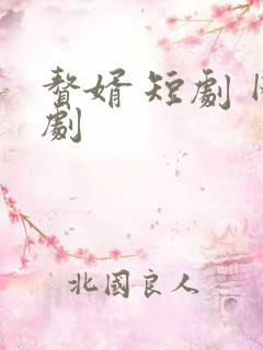 赘婿 短剧 网剧