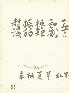 赵振栋和王格格演的短剧有哪些