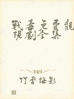 战毒免费观看电视剧全集